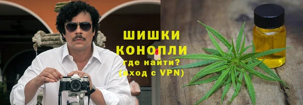 гидра Белокуриха
