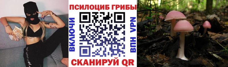 Псилоцибиновые грибы ЛСД  сколько стоит  Заозёрный 